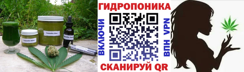 наркота  OMG   Canna-Cookies марихуана  Агидель 
