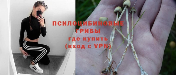 экстази Алексеевка