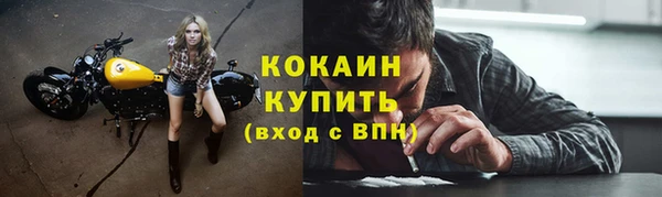 соль ск Абаза